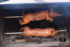 Suckling pig on spit