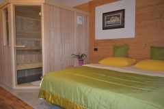 Double Room with Sauna SUPERIOR